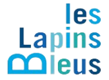 leslapinsbleus.site